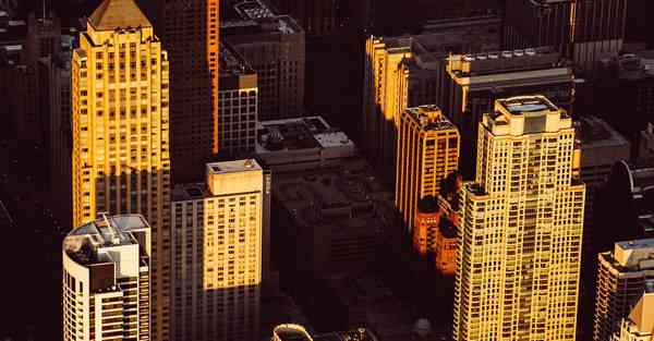 外国语单招大数据的行业文章