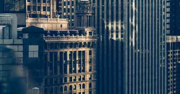 外国语单招大数据的行业文章