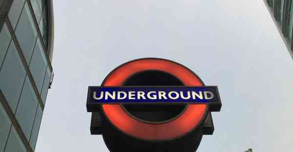 AI绘画把人画成动物形状（AI绘画把人画成动物形状的软件）