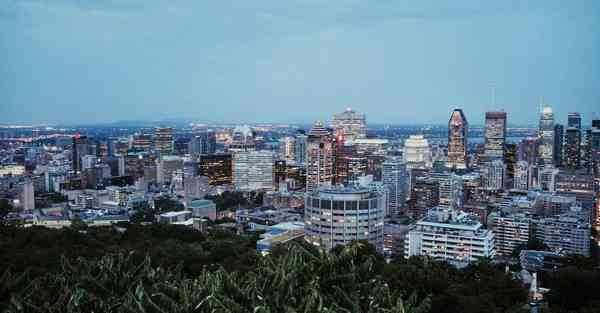 外国语单招大数据的行业文章