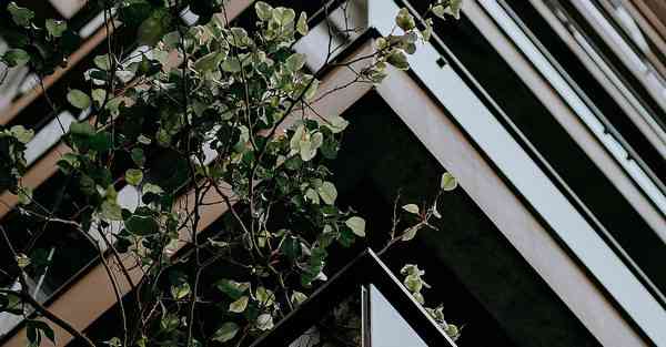 大数据判断数据变化趋势（大数据判断数据变化趋势分析）