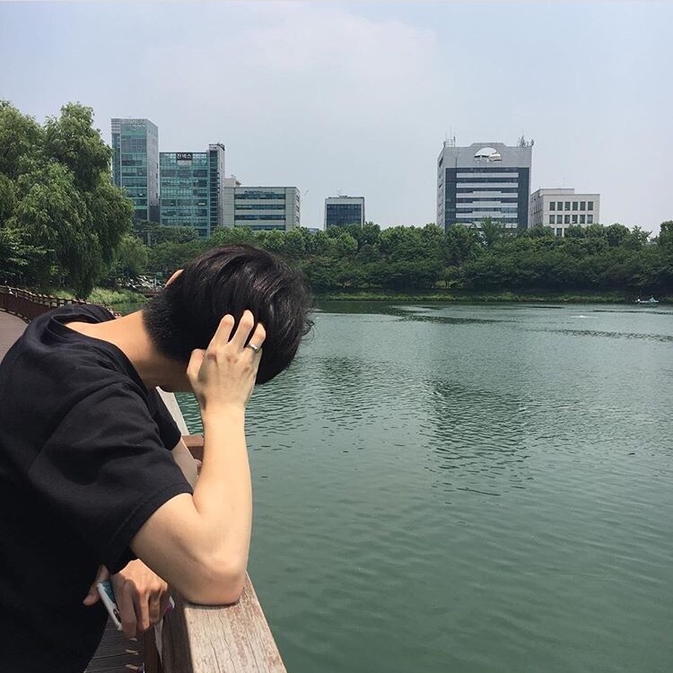 纪泽娴菊