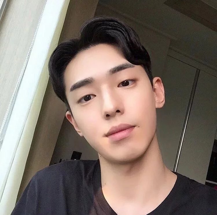 傅巧善菊
