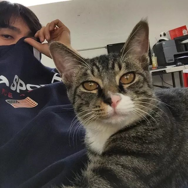 申屠风纨影