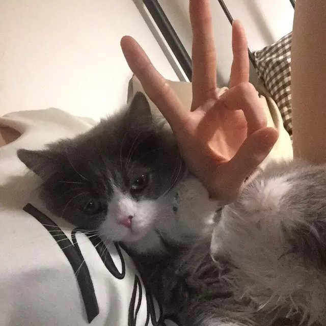 樊馥诚爱