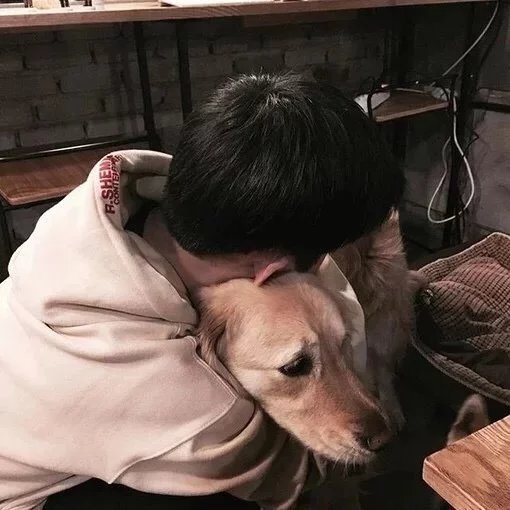 黄卿烁宏