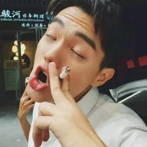 扶桂梅雁