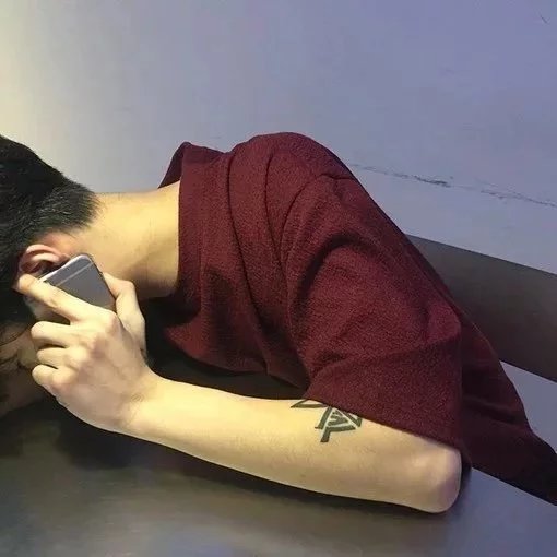 支燕鸿妍