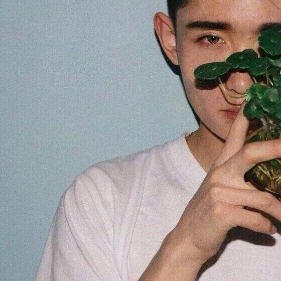 魏启茗姬