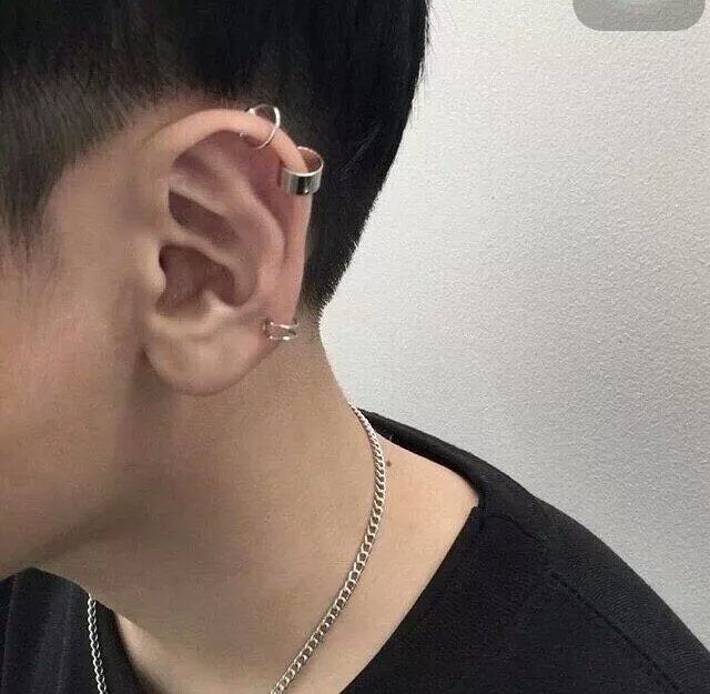堵恒菊群
